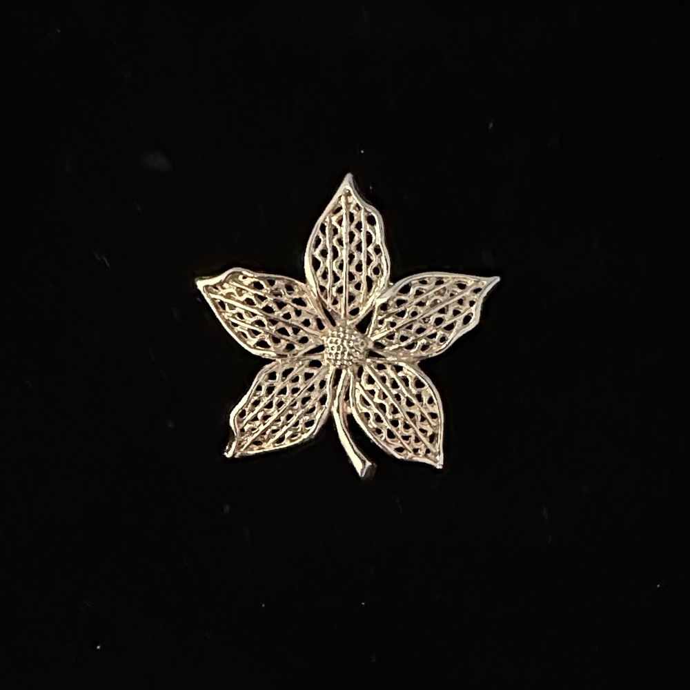 Elegant Leaf Brooch
